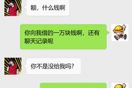 云南如何避免债务纠纷？专业追讨公司教您应对之策